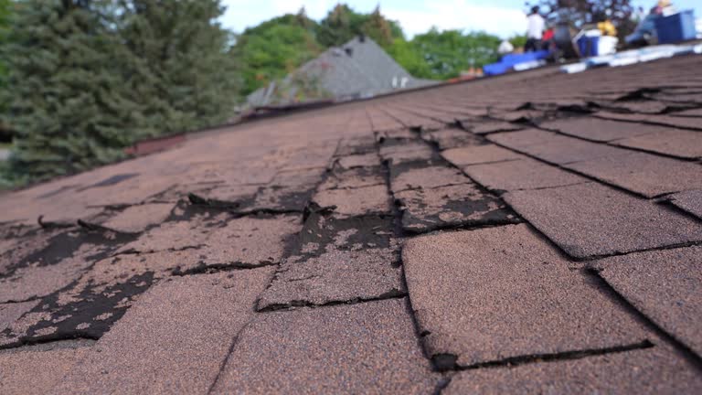 Fast & Reliable Emergency Roof Repairs in West Middlesex, PA